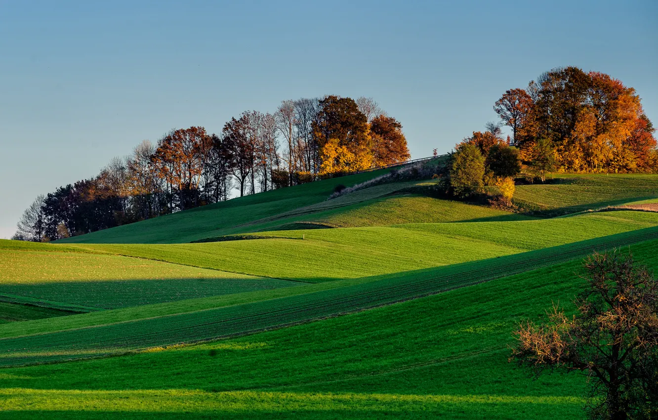 Photo wallpaper field, the sky, grass, trees, sunset, hills, shadow