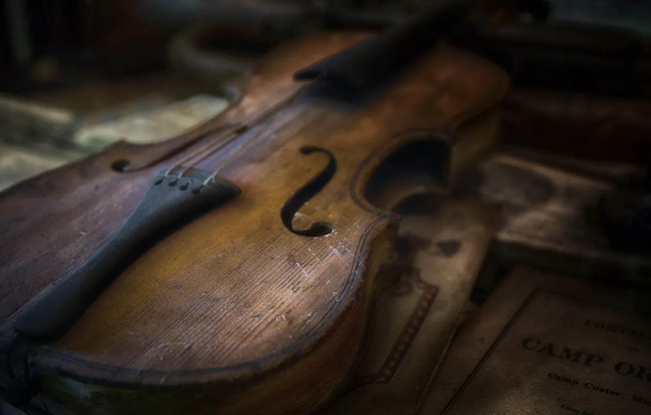 Photo wallpaper macro, music, violin