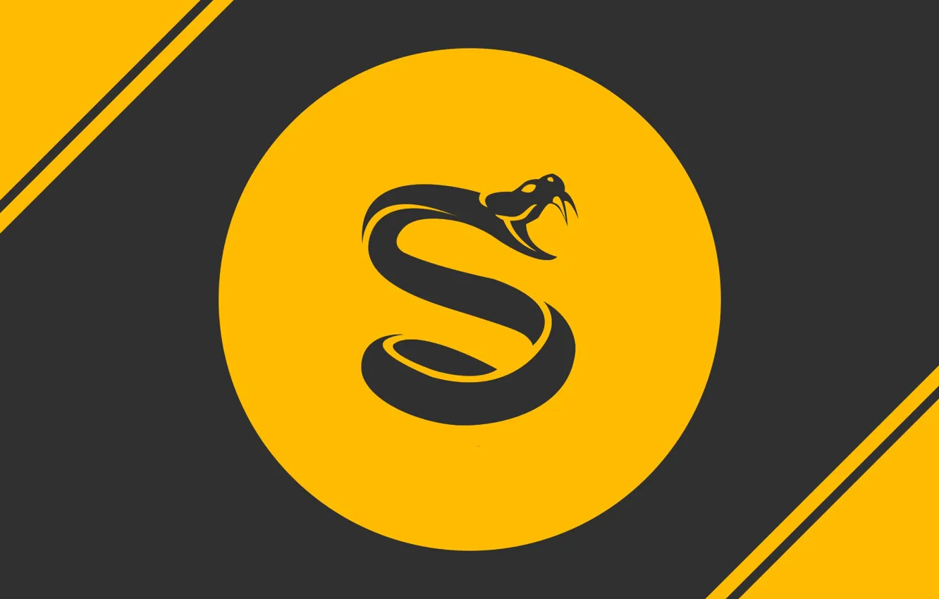 Photo wallpaper logo, snake, yellow, splyce csgo