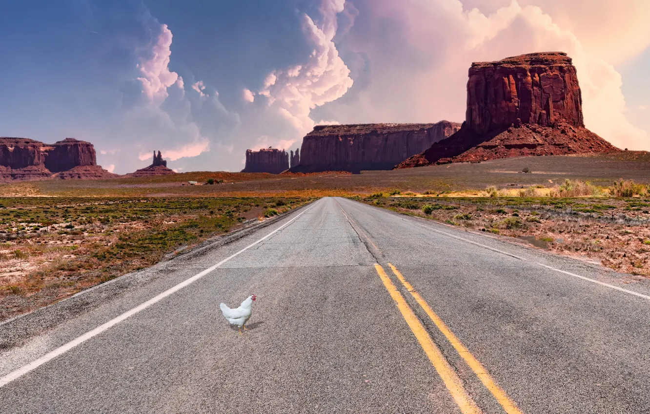 Photo wallpaper road, field, clouds, mountains, rocks, markup, bird, desert