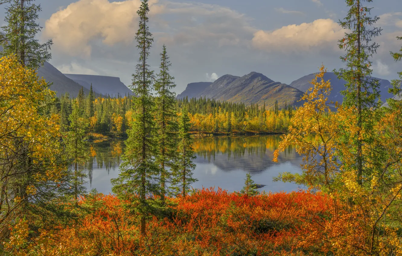 Photo wallpaper autumn, forest, trees, mountains, lake, Russia, Khibiny, The Kola Peninsula