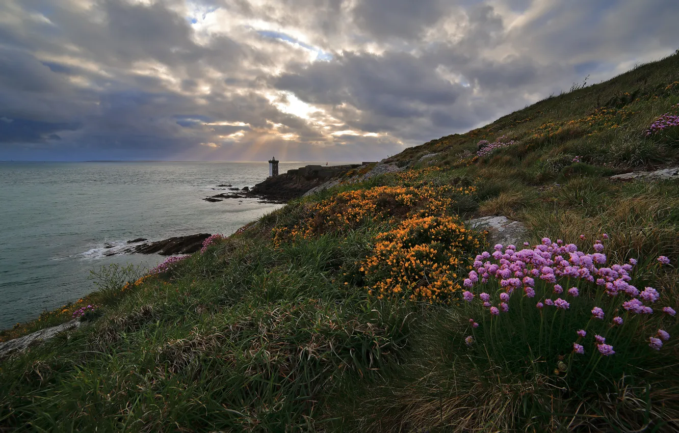 Photo wallpaper sea, summer, the sky, grass, clouds, flowers, overcast, hills