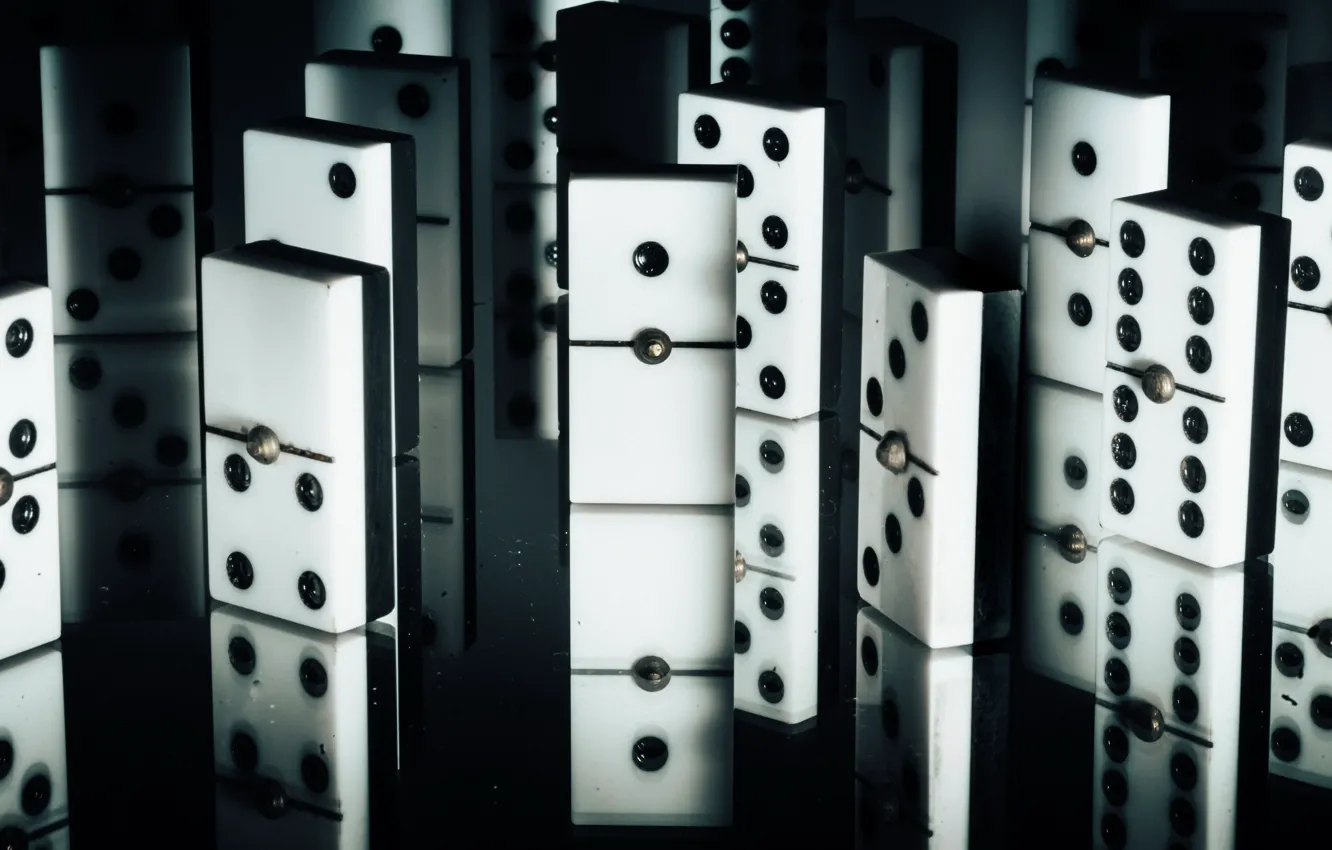 Photo wallpaper background, bones, Domino