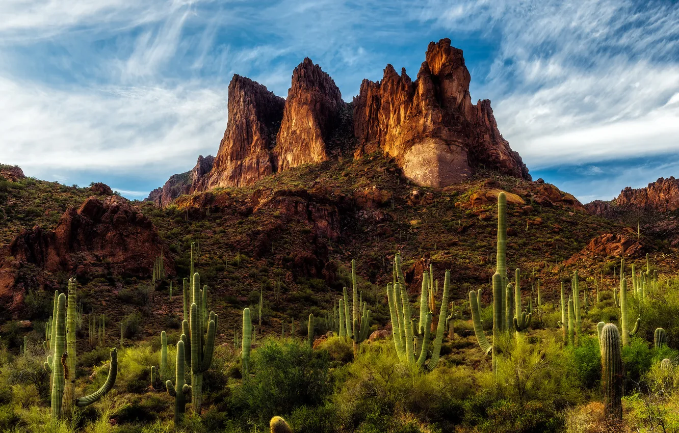 Photo wallpaper clouds, mountains, blue, rocks, desert, tops, cactus, canyon