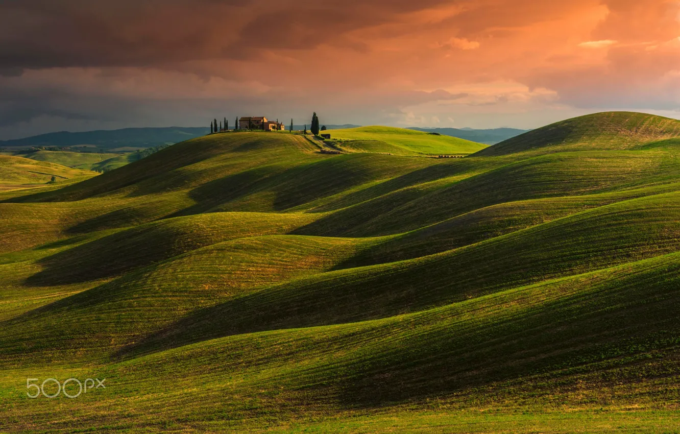 Photo wallpaper field, the sky, Italy, estate, Tuscany