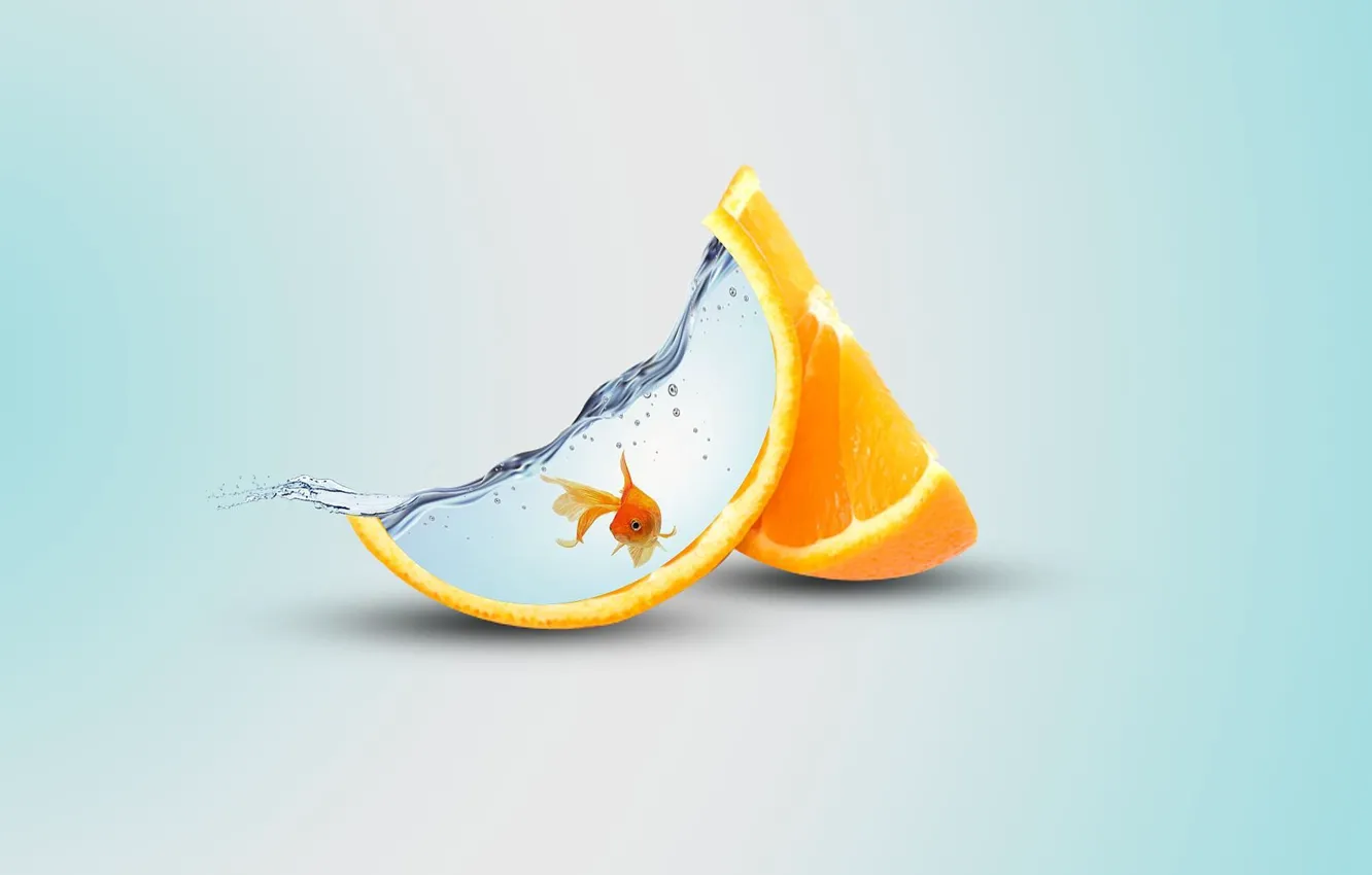Photo wallpaper water, orange, artist, fish