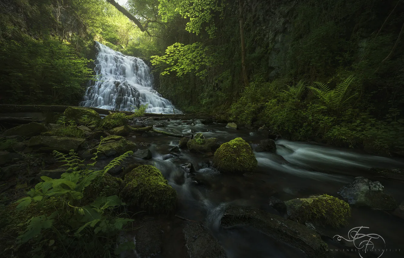 Photo wallpaper forest, nature, river, waterfall