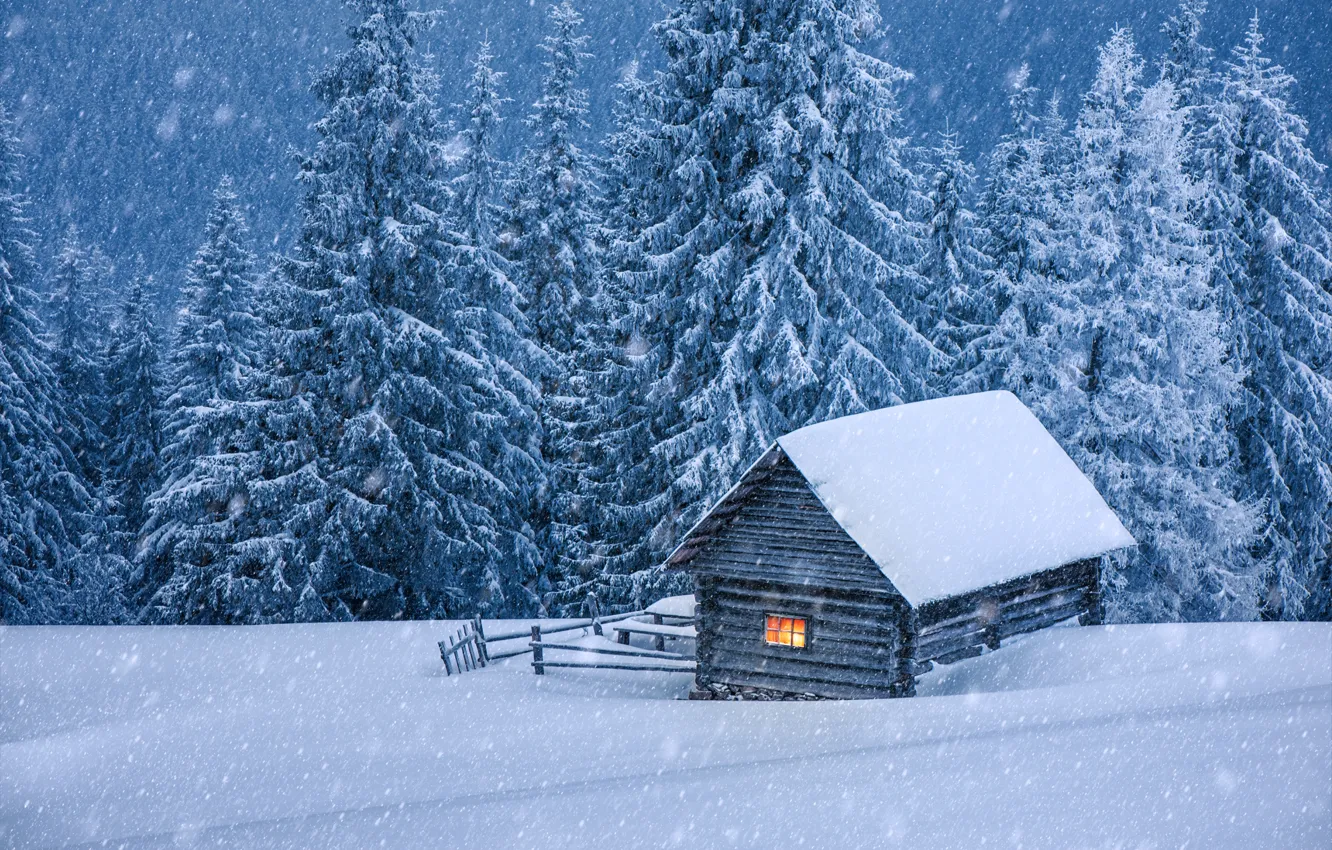 Photo wallpaper winter, snow, tree, house, hut, landscape, winter, snow