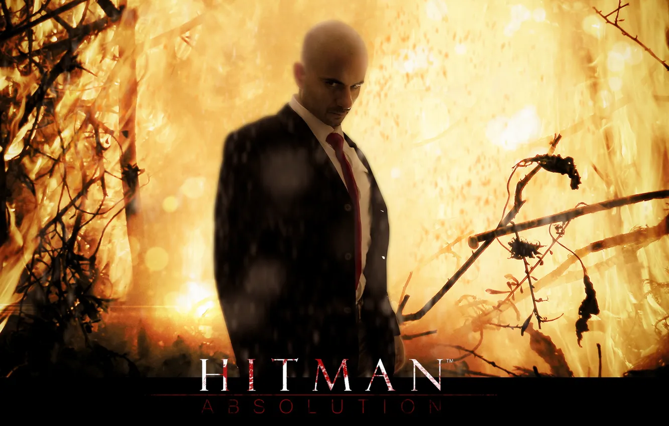 Photo wallpaper the game, Hitman, absolution