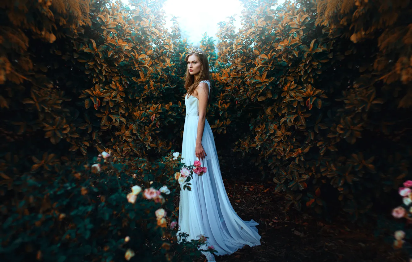 Photo wallpaper girl, style, mood, roses, dress, Diadema, the bushes