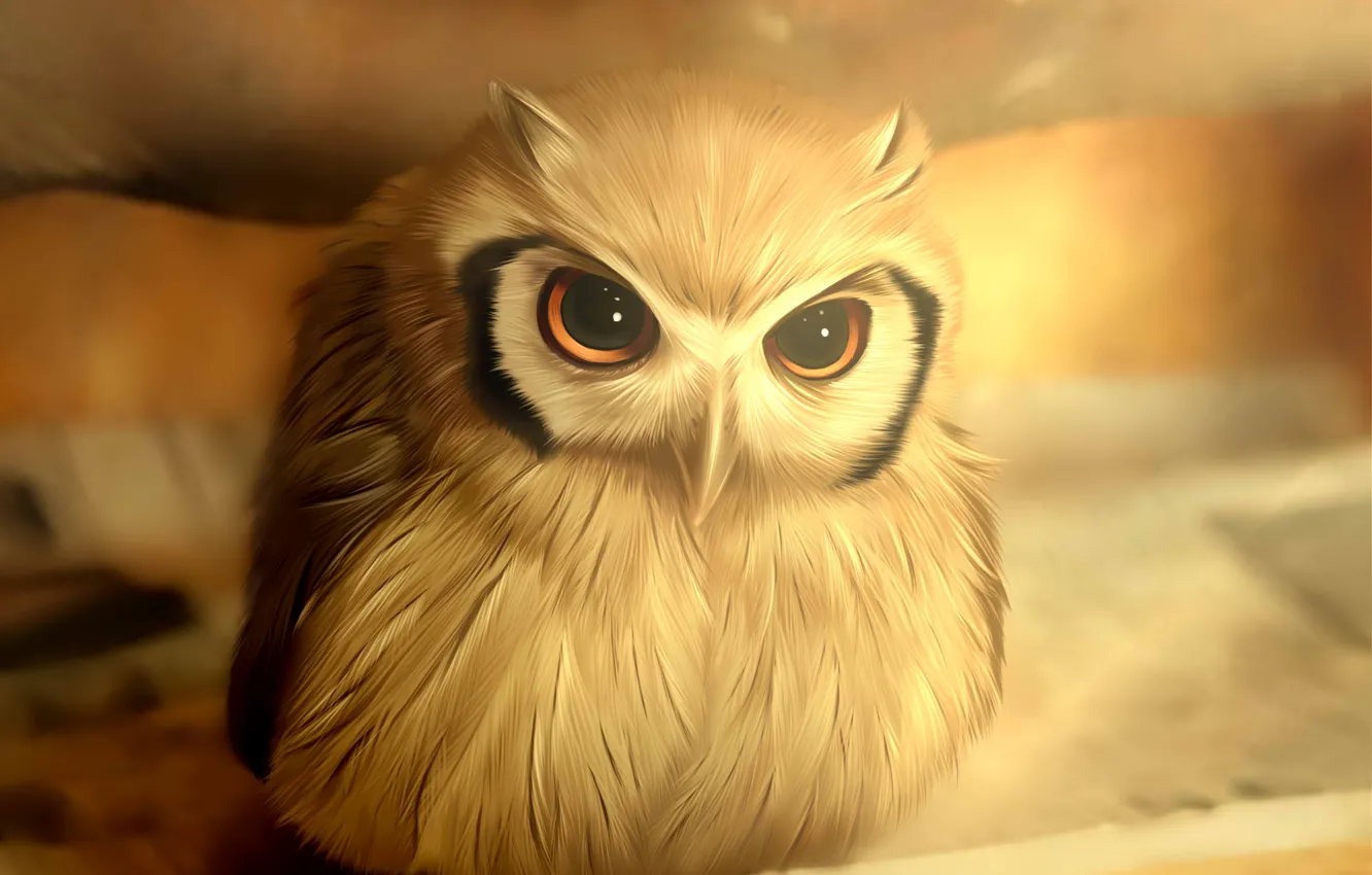 Photo wallpaper owl, bird, blurred background