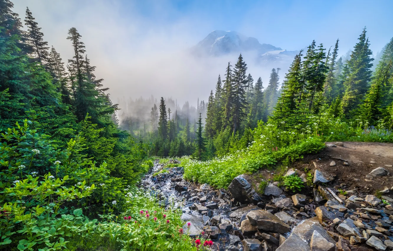 Photo wallpaper mountains, stream, stones, USA, Mount Rainier National Park