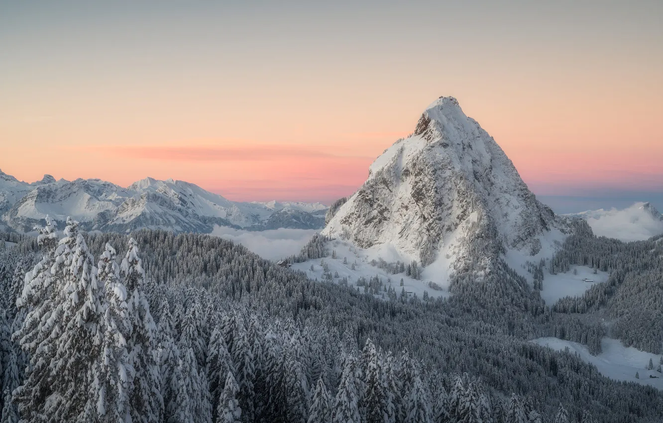 Photo wallpaper winter, frost, forest, the sky, snow, mountains, nature, fog