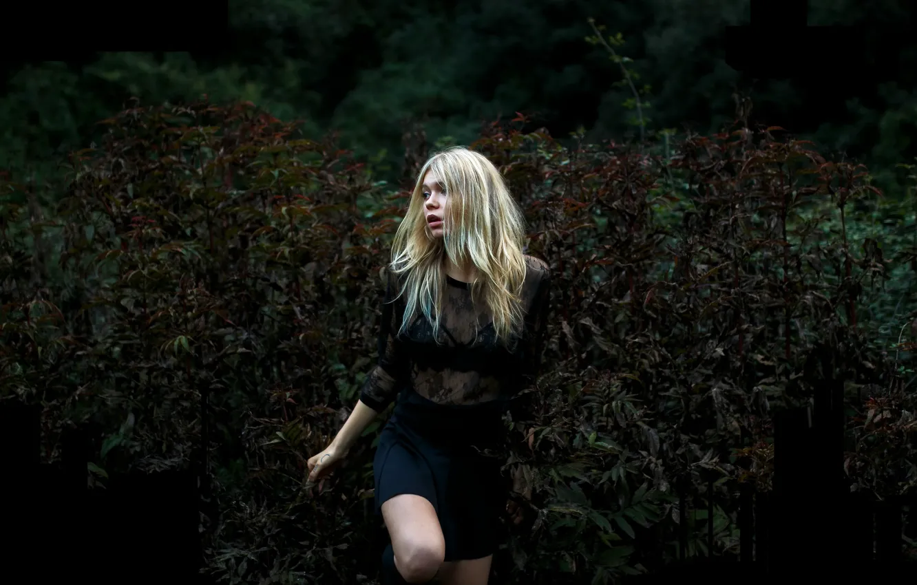 Photo wallpaper mood, blonde, the bushes