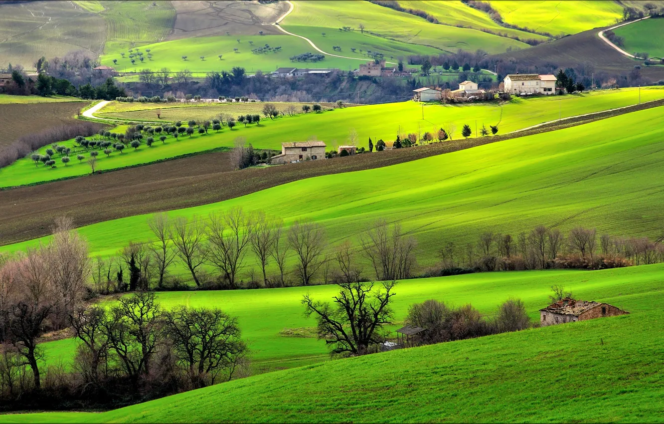 Photo wallpaper field, grass, trees, hills, home, Italy, Campagna