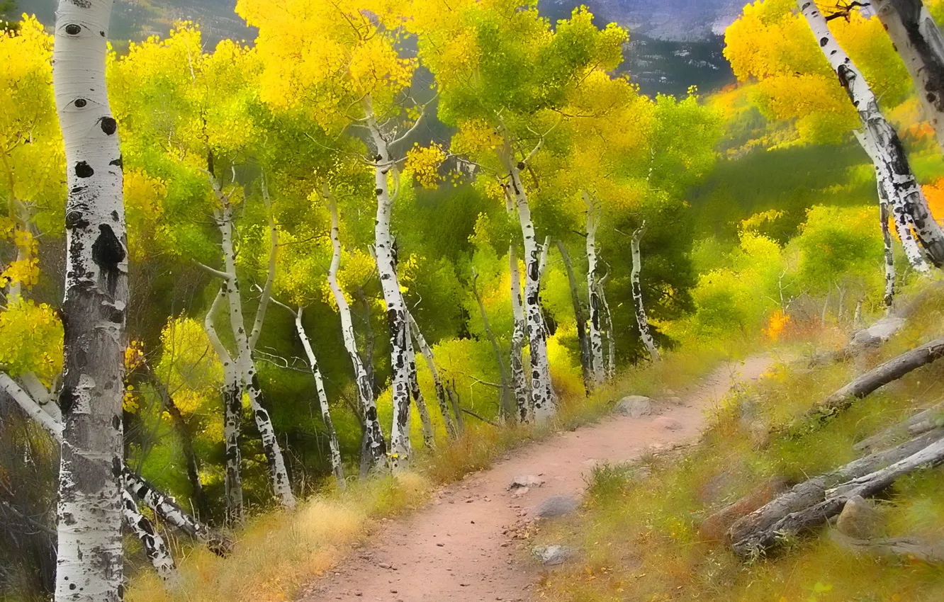 Photo wallpaper landscape, style, background, birch