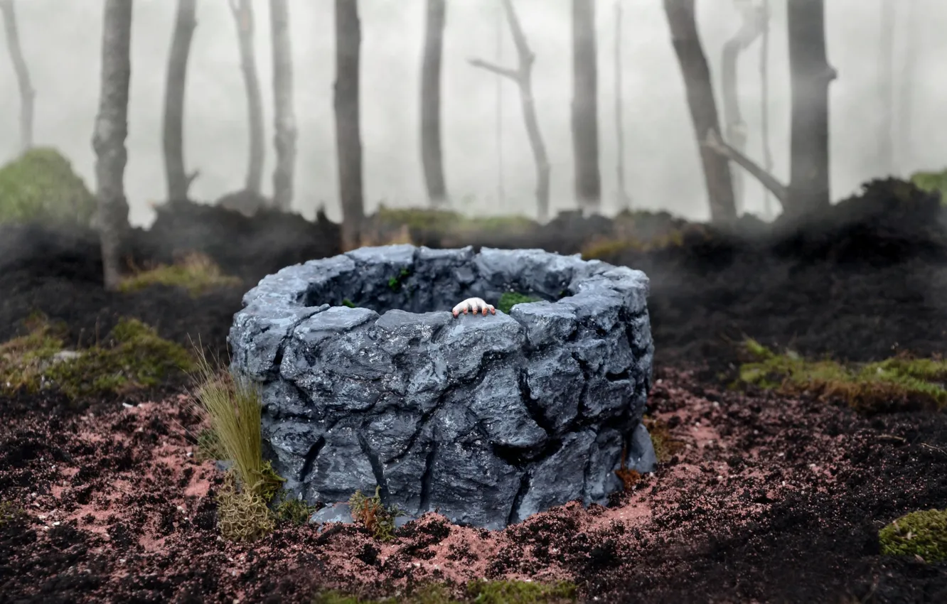 Photo wallpaper forest, fog, toys, hand, well, The Ring, Offering Yamamura