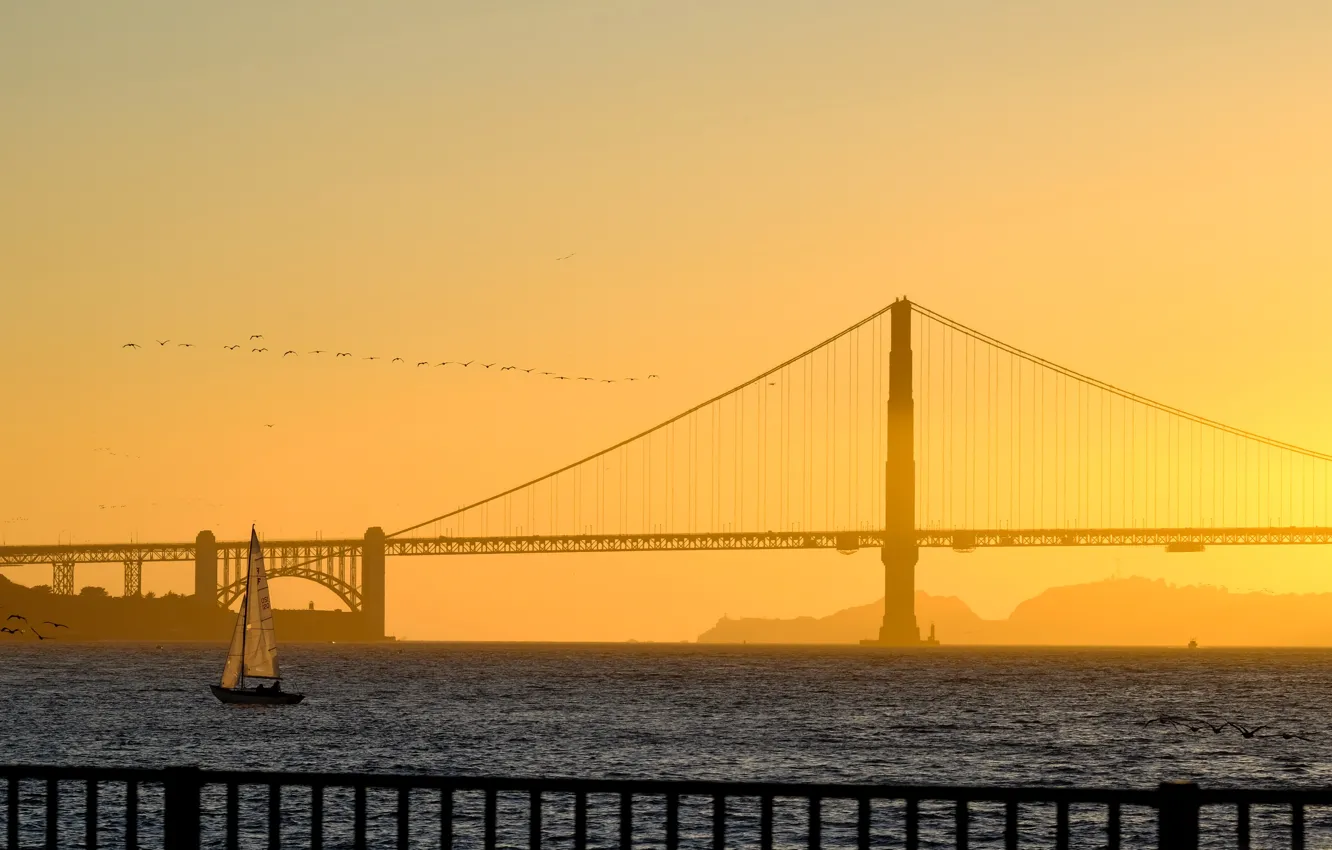 Photo wallpaper bridge, boat, sail, San Francisco, Golden Gate, USA