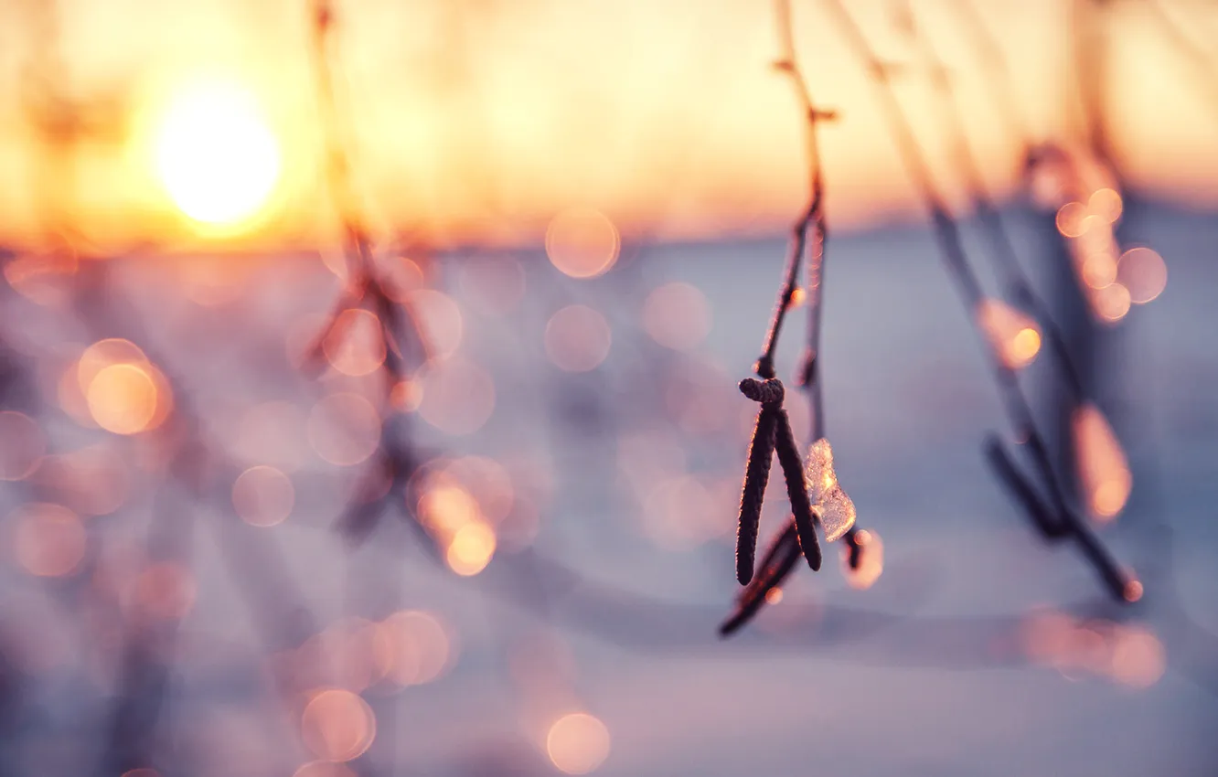 Photo wallpaper the sun, sun, bokeh