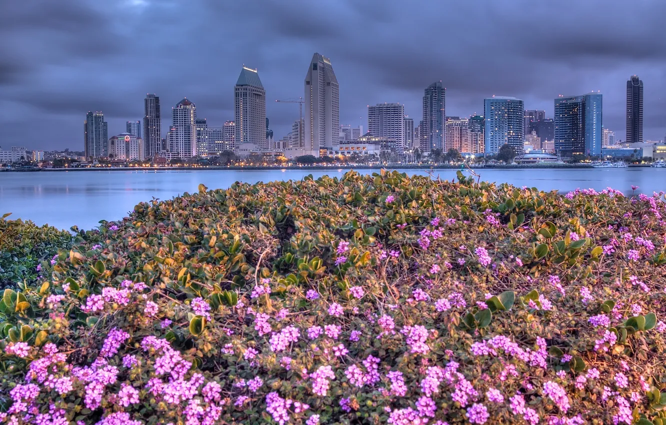 Photo wallpaper sea, landscape, flowers, home, the evening, USA, San Diego