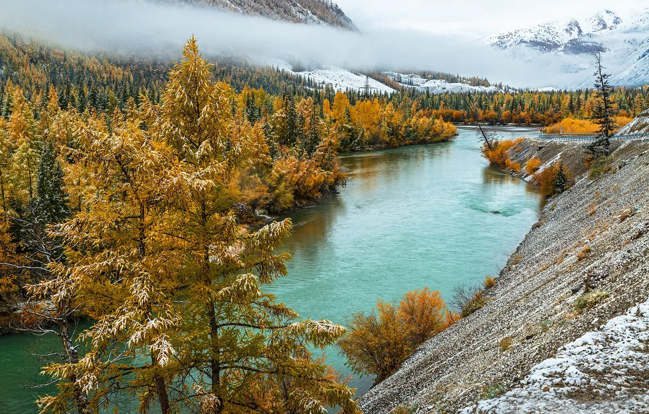 Photo wallpaper autumn, river, Altay, Sensing