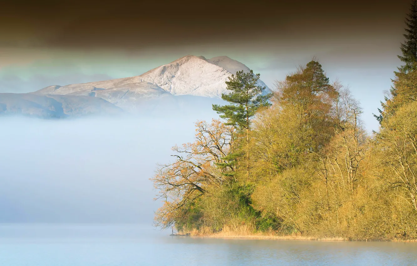 Photo wallpaper forest, mountains, fog, lake