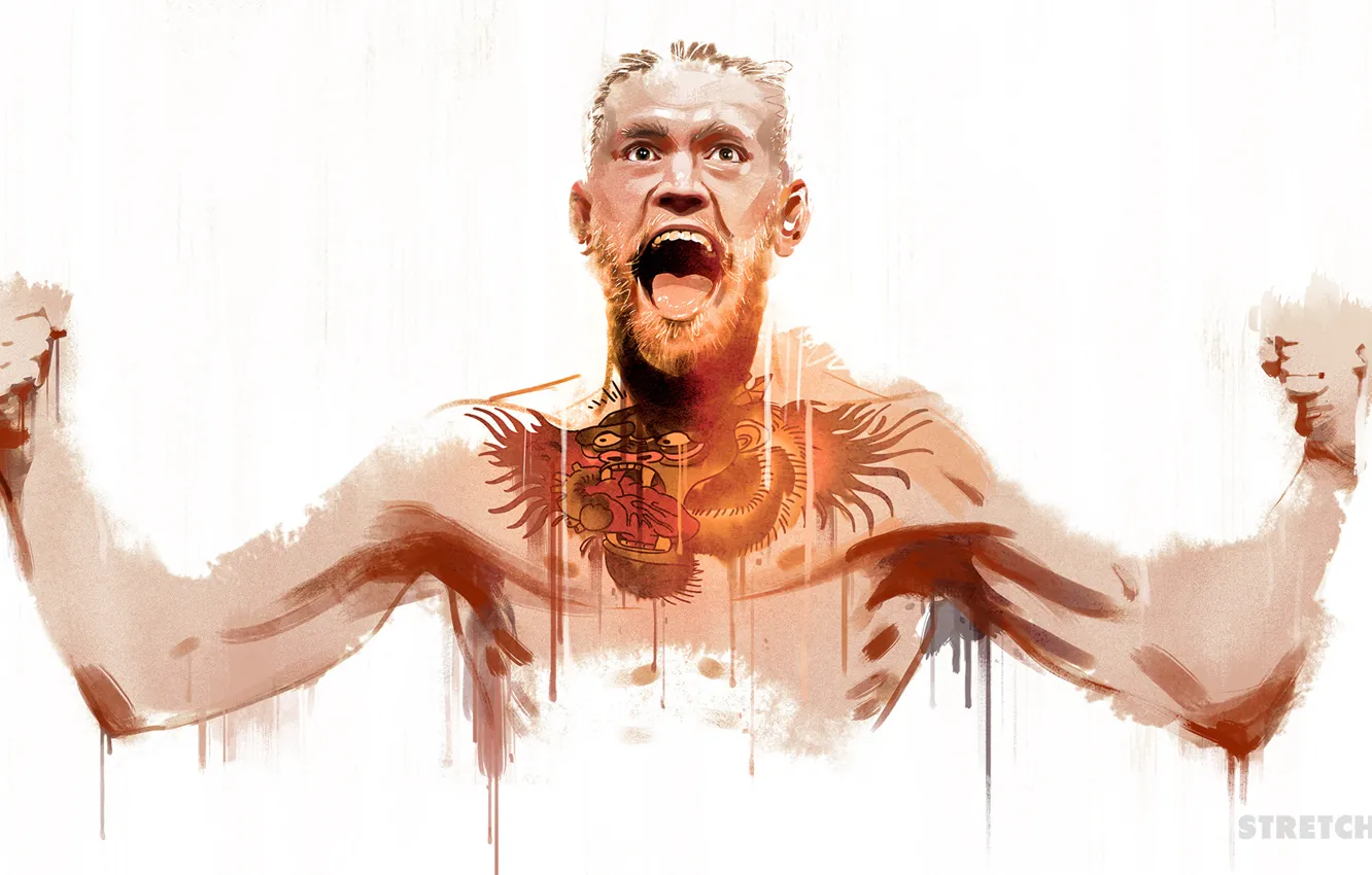Photo wallpaper UFC, Conor McGregor, Conor McGregor
