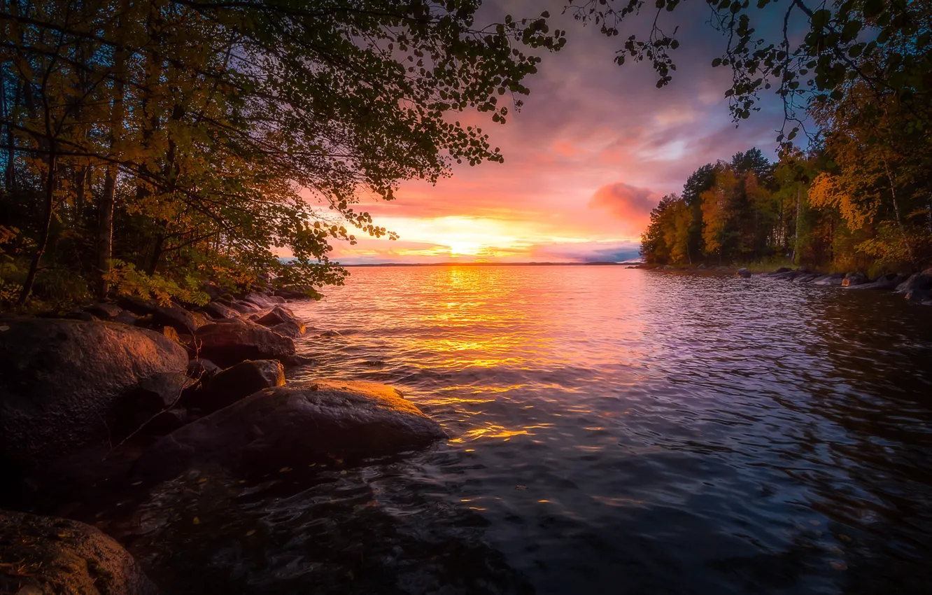 Photo wallpaper autumn, forest, trees, sunset, lake, Finland, Finland, Tampere