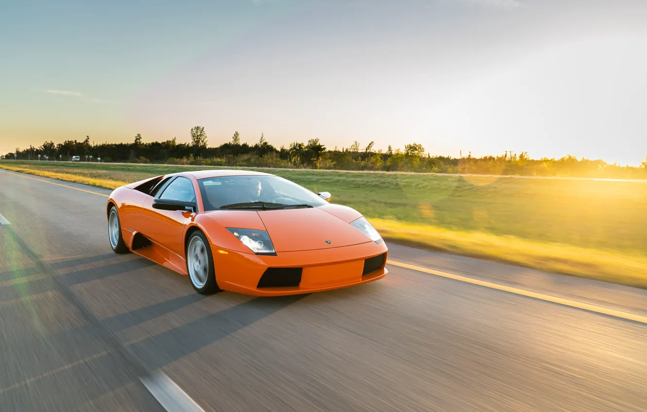 Photo wallpaper Lamborghini, supercar, Lamborghini Murcielago, Murcielago, orange