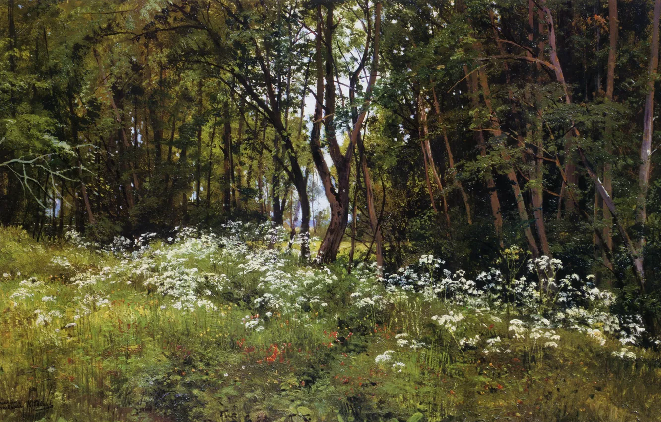 Photo wallpaper forest, glade, the edge