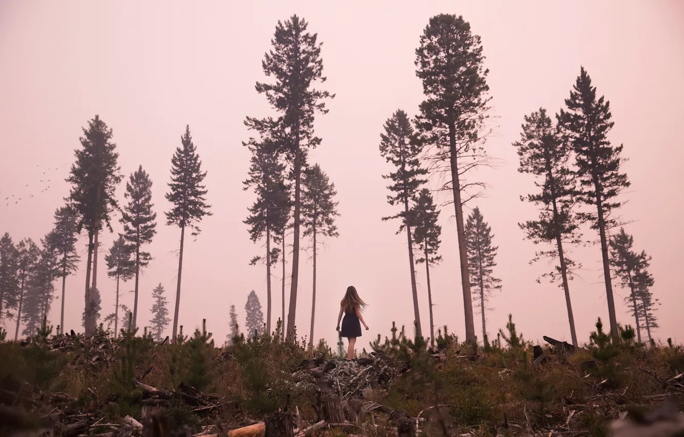 Photo wallpaper girl, trees, dress, cutting, Lichon