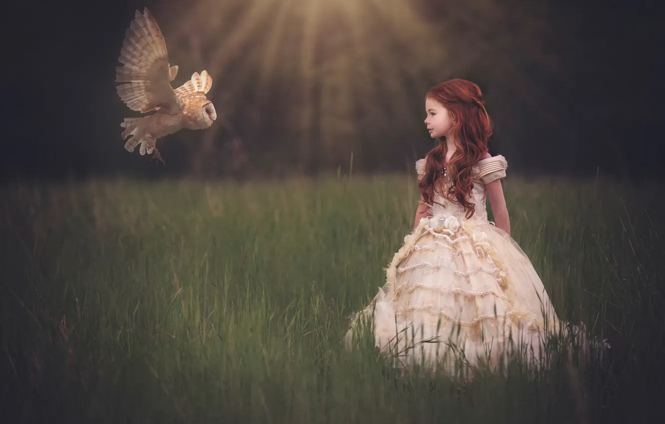 Photo wallpaper owl, dress, girl, flight