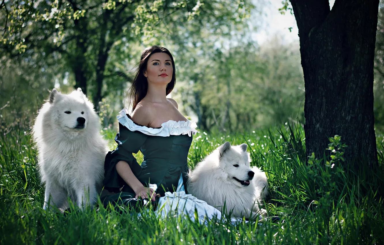 Photo wallpaper dogs, girl, dress
