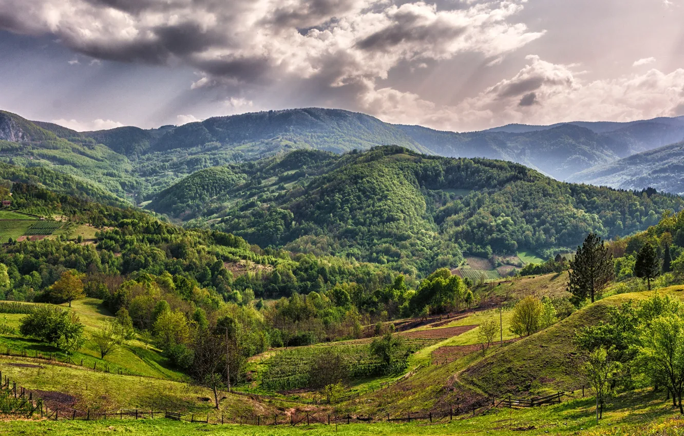Photo wallpaper greens, forest, the sun, clouds, trees, mountains, field, Serbia