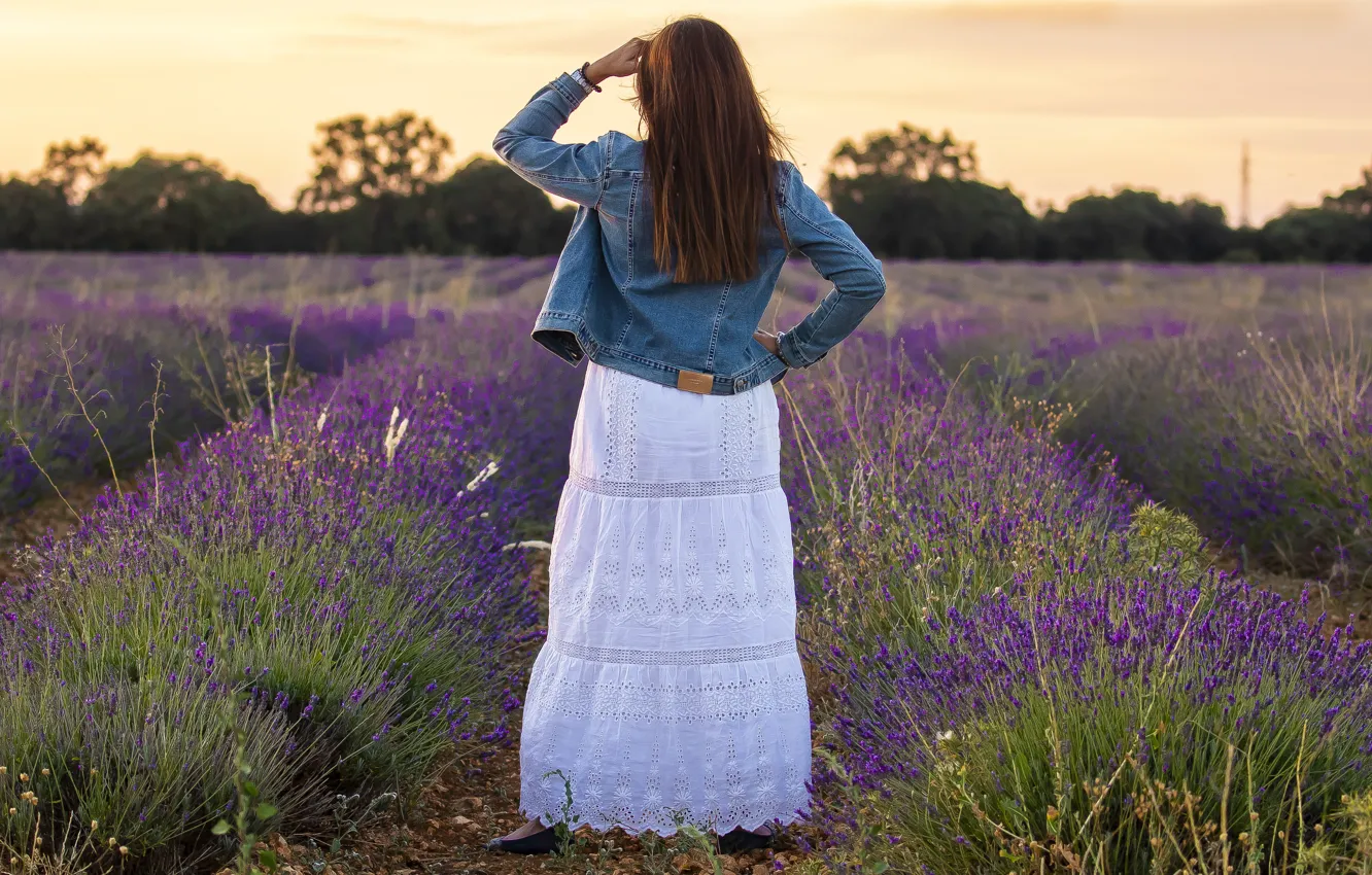 Photo wallpaper field, girl, flowers, lavender, lavender field