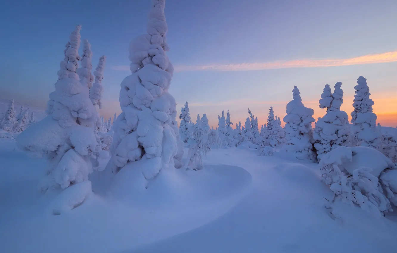 Photo wallpaper winter, snow, trees, ate, the snow, Russia, Main Ural ridge