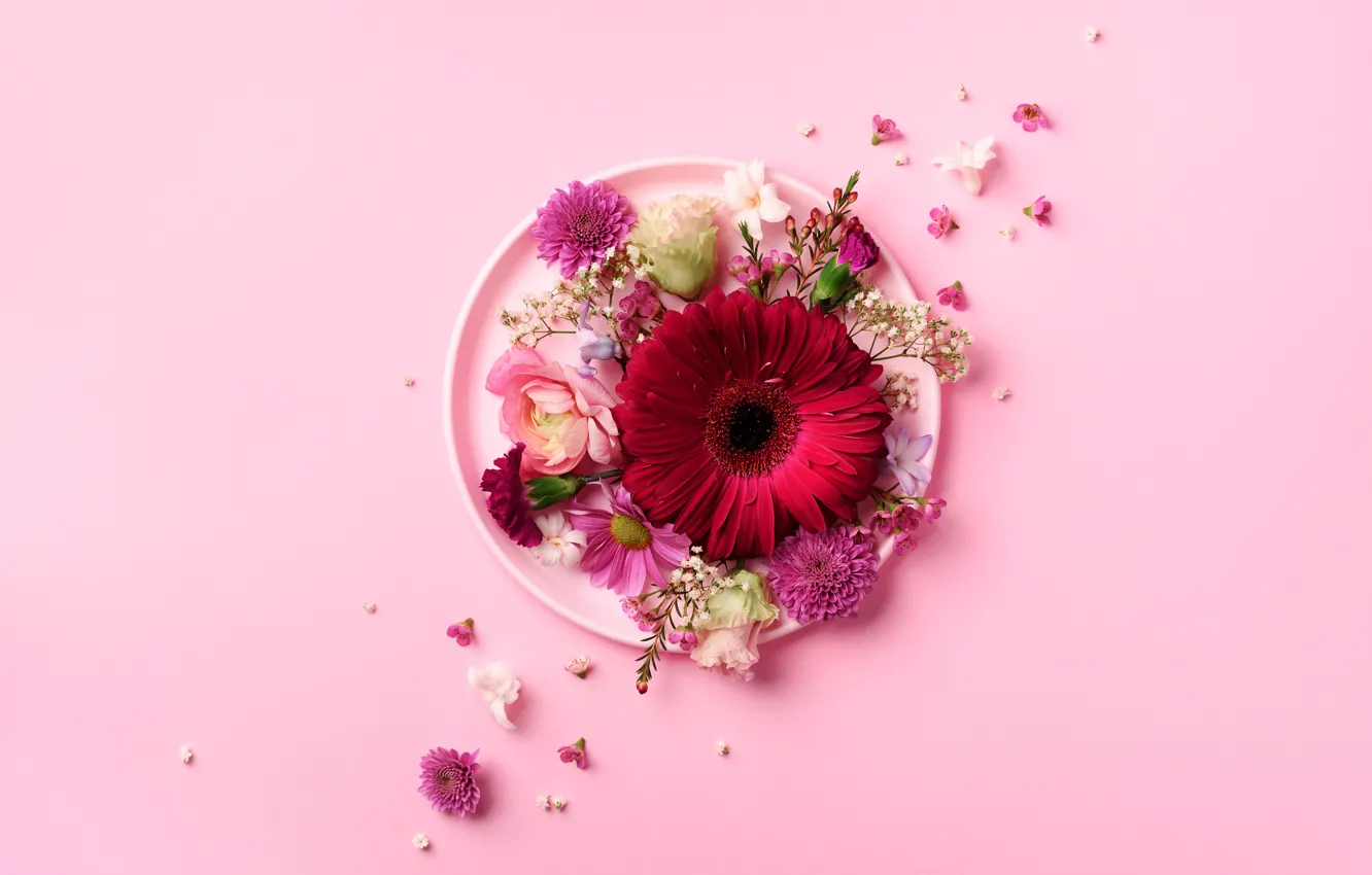 Photo wallpaper flowers, background, pink, gerbera, composition