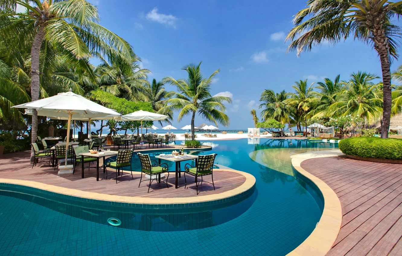 Photo wallpaper trees, nature, palm trees, pool, The Maldives, table, sun loungers, Maldives
