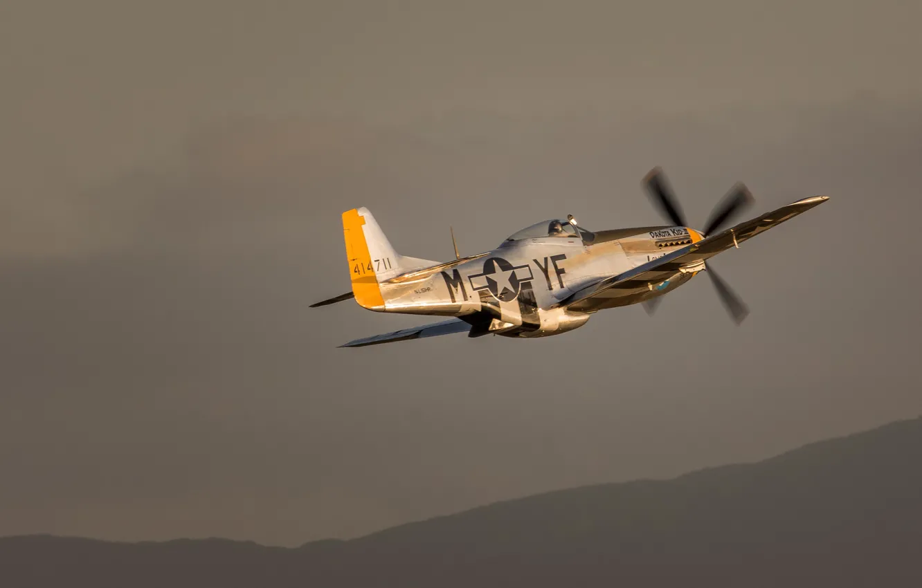 Photo wallpaper flight, Mustang, fighter, P-51