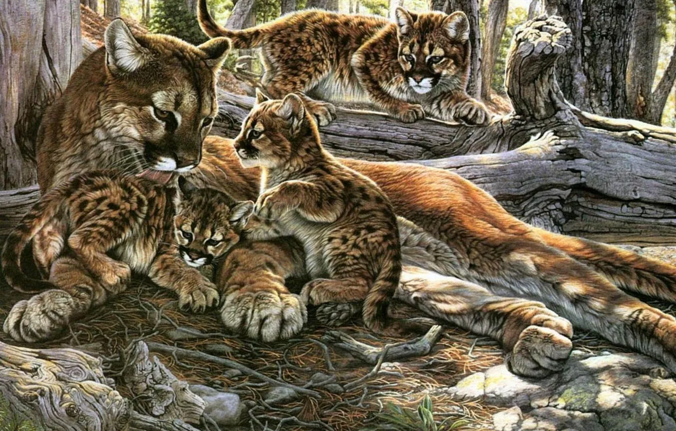 Photo wallpaper cat, predator, kittens, Puma