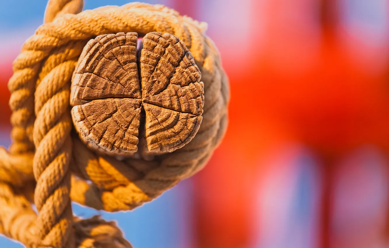 Photo wallpaper trees, rope, node, timber