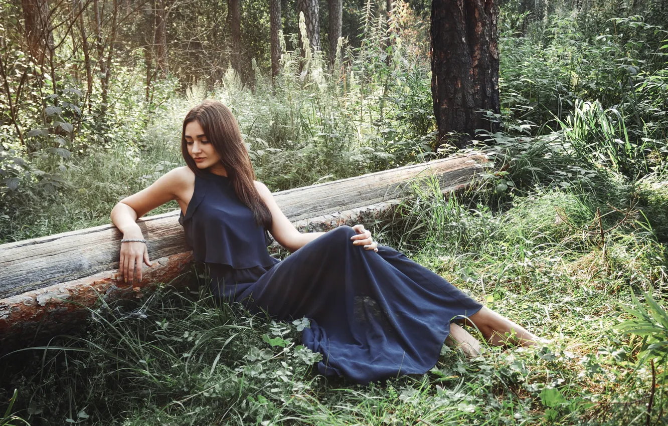 Photo wallpaper forest, girl, trees, dress, Zlobin Awesome, Valery Zlobin, Elga