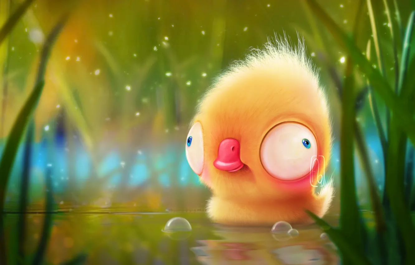 Photo wallpaper lake, duck, funny, by Florianne Becker