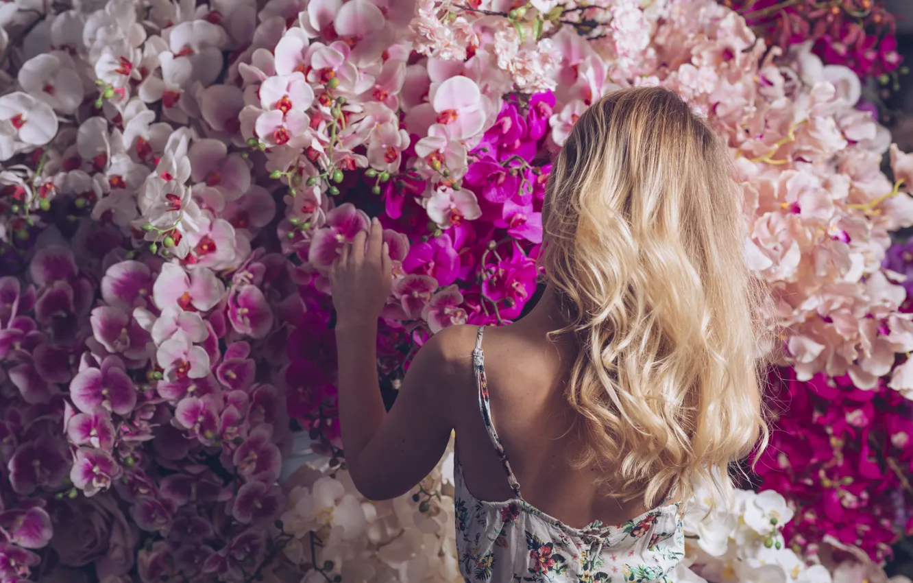 Photo wallpaper girl, flowers, woman, blonde, girl, pink, orchids, woman