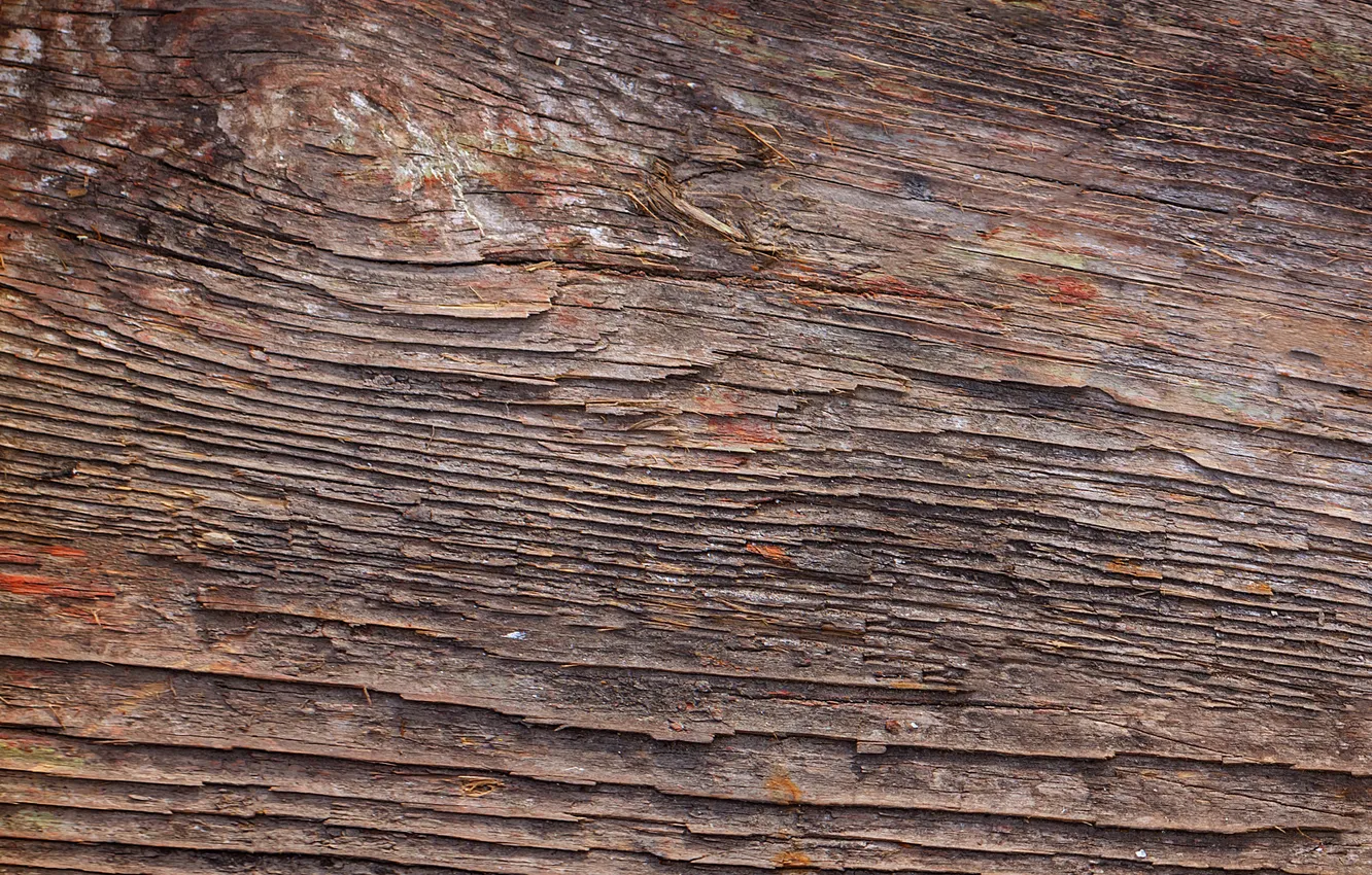 Photo wallpaper color, wood, texture