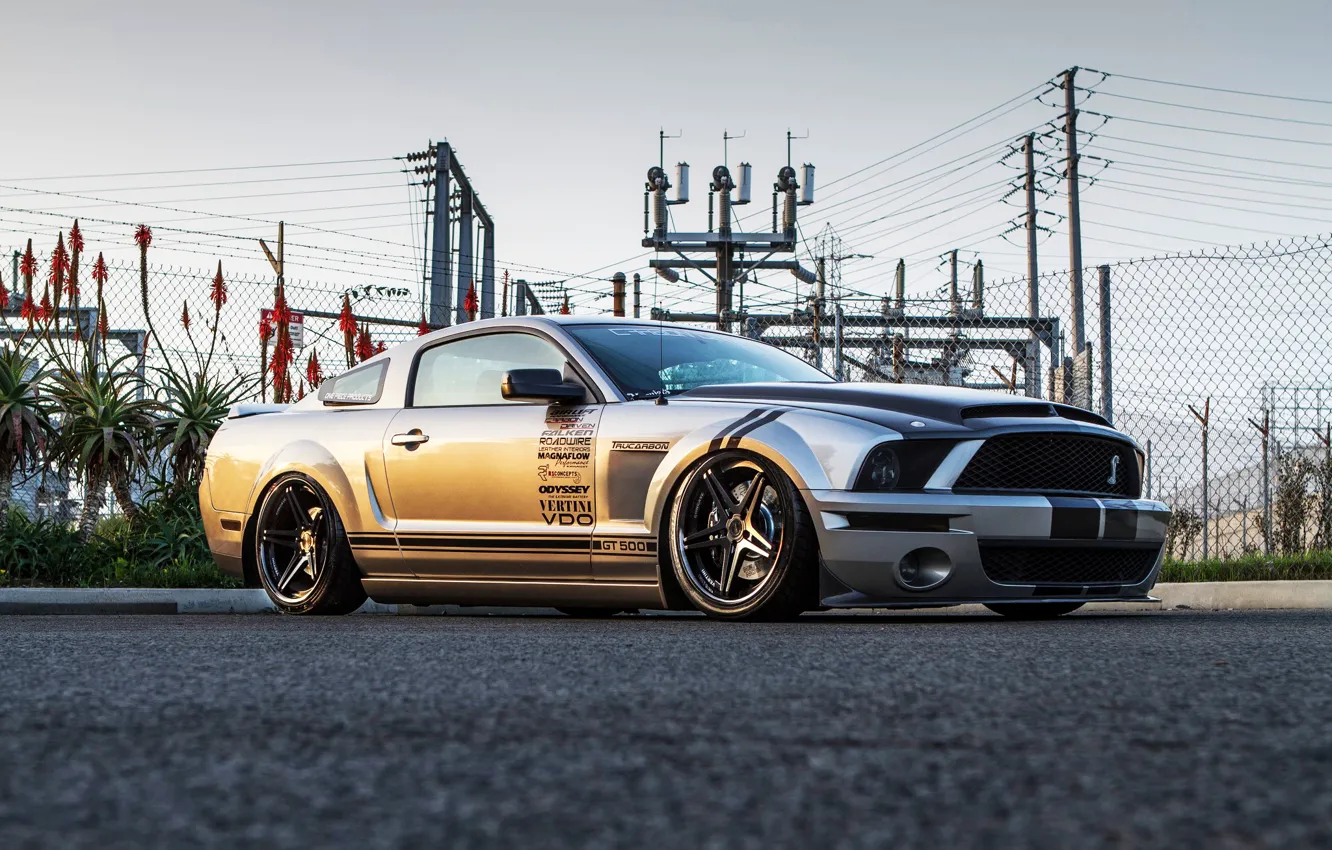 Photo wallpaper road, palm trees, mesh, wire, the fence, mustang, Mustang, Cobra