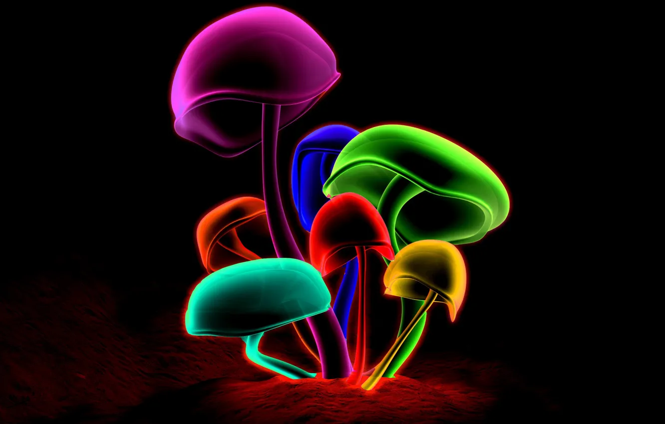 Photo wallpaper mushrooms, colorful, psychedelic