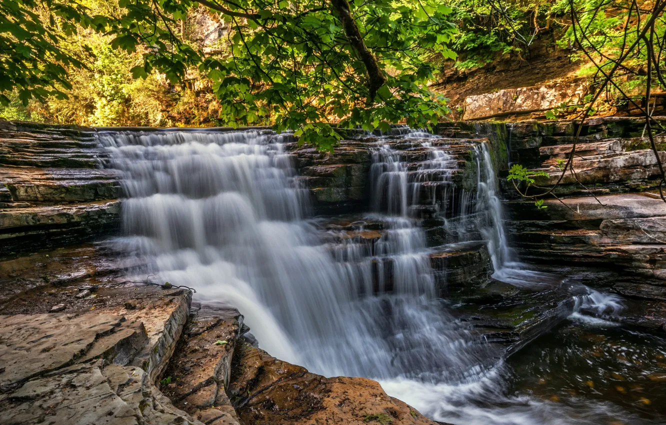 Photo wallpaper forest, trees, landscape, rocks, England, waterfall, stream, Yorkshire