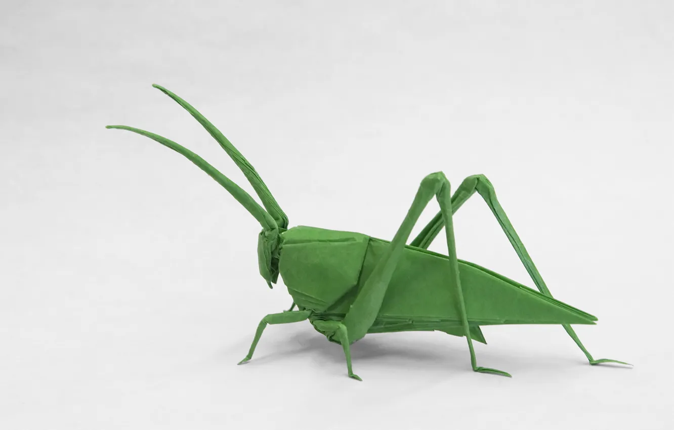 Photo wallpaper paper, grasshopper, origami