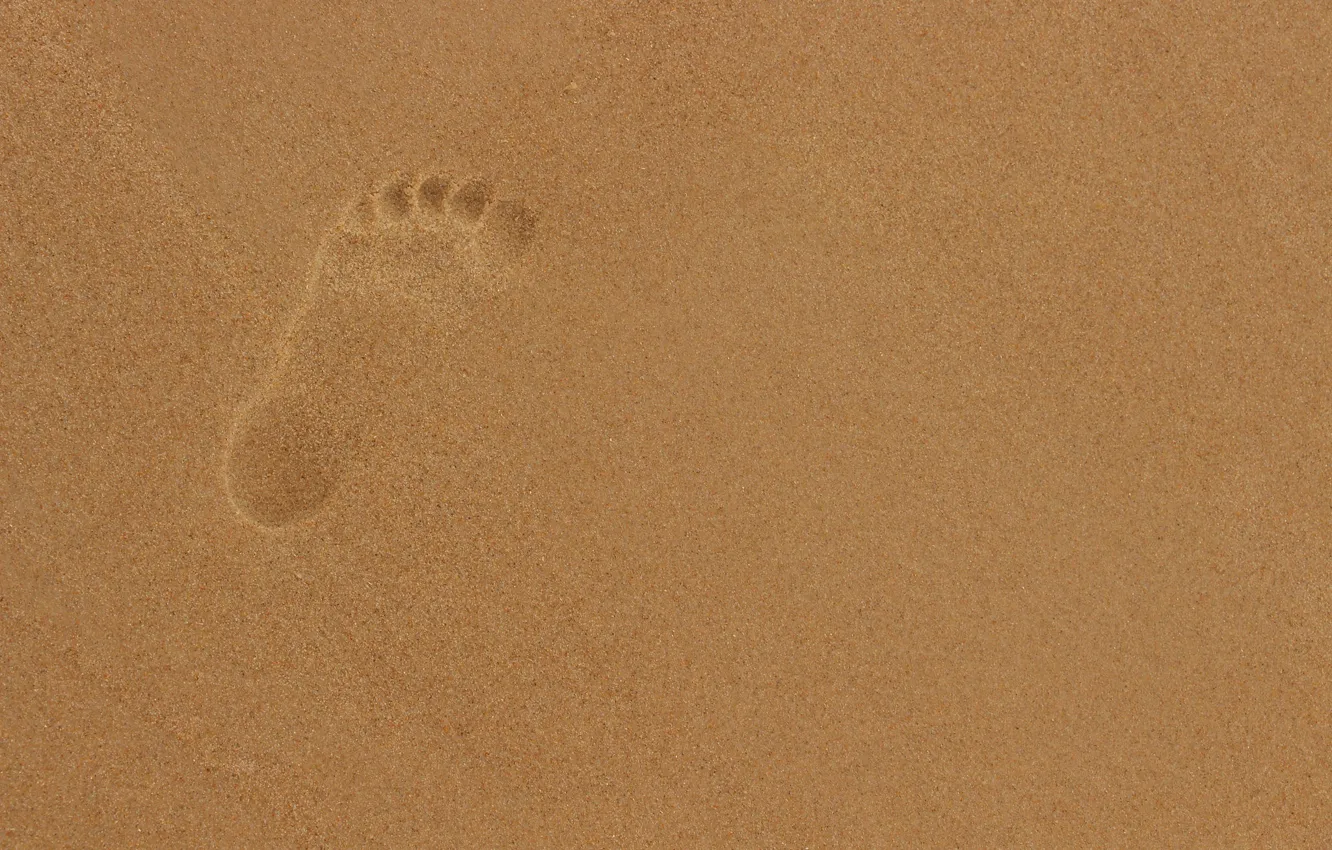 Photo wallpaper sand, trail, imprint
